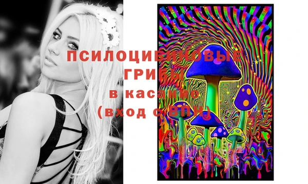 гидра Аркадак