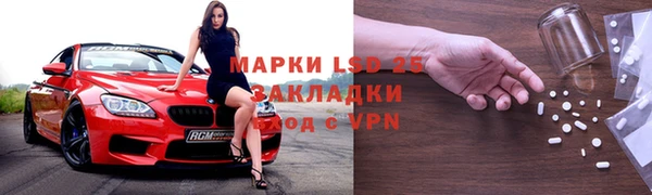 гидра Аркадак