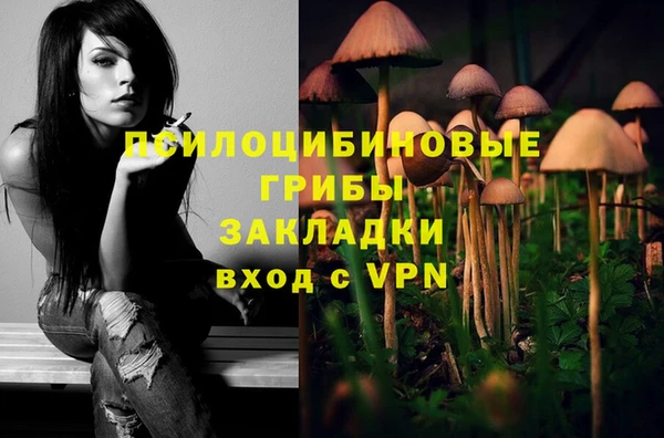 винт Армянск