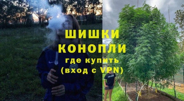 винт Армянск