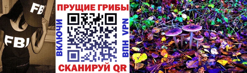 Галлюциногенные грибы GOLDEN TEACHER  Макарьев 