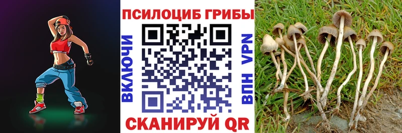 Псилоцибиновые грибы MAGIC MUSHROOMS Макарьев